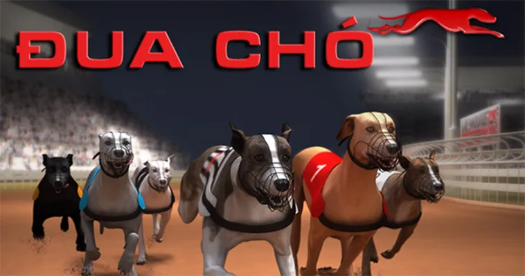 Bí Kíp Chiến Thắng Game Nhanh Đua Chó Tại SBOBET Dễ Dàng Hiệu Quả